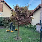 Németh Appartamento Mórahalom